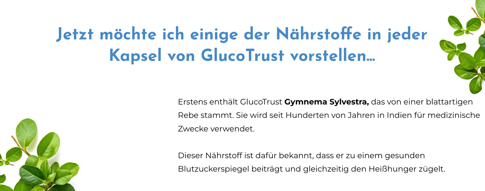 Captura de Tela 2026-01-08 às 08.19.23